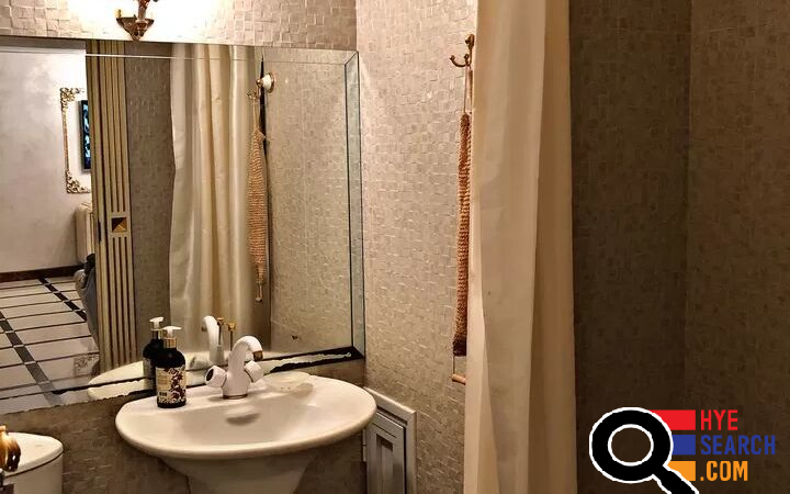 Small Kentron Newly Built Building Apartment​ for Rent in Yerevan, Armenian