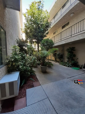 Apartment for Rent in Van Nuys, CA