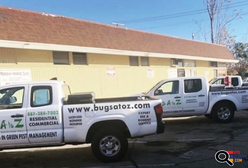  Bugs A to Z Pest Services 