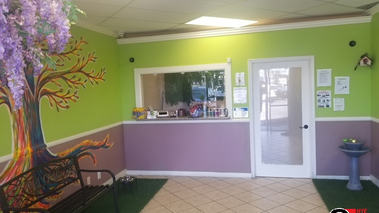  Popular Grooming Salon/Daycare Business for Sale in Los Angeles, CA