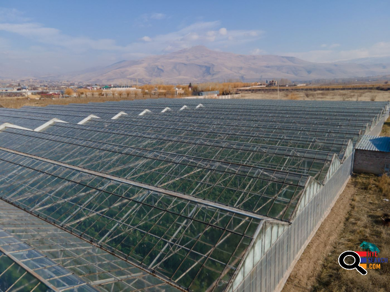  Վաճառվում է գործող ջերմոցներ Աբովյան Արամուս գյուղ տանող ճանապարհի Անկախության 2