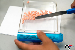 Haig Pharmacy in Glendale, CA