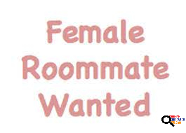 Female Roommate in Glendale, CA 