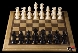 Online Chess and Math  Lessons