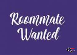 Looking for a Male Roommate in Hollywood , CA 