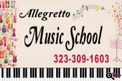 Allegretto Music School, Private and Individual Classes - Piano, Violin, Guitar and etc
