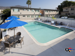 Free First 2 Weeks - Pacifica Glendale Apartments is Offering Single for Rent in Glendale, CA